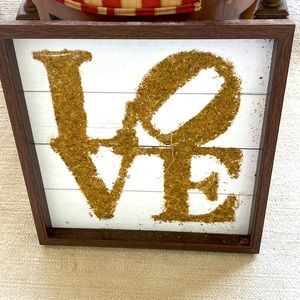 Kirklands like new 15 in square LOVE natural moss art framed